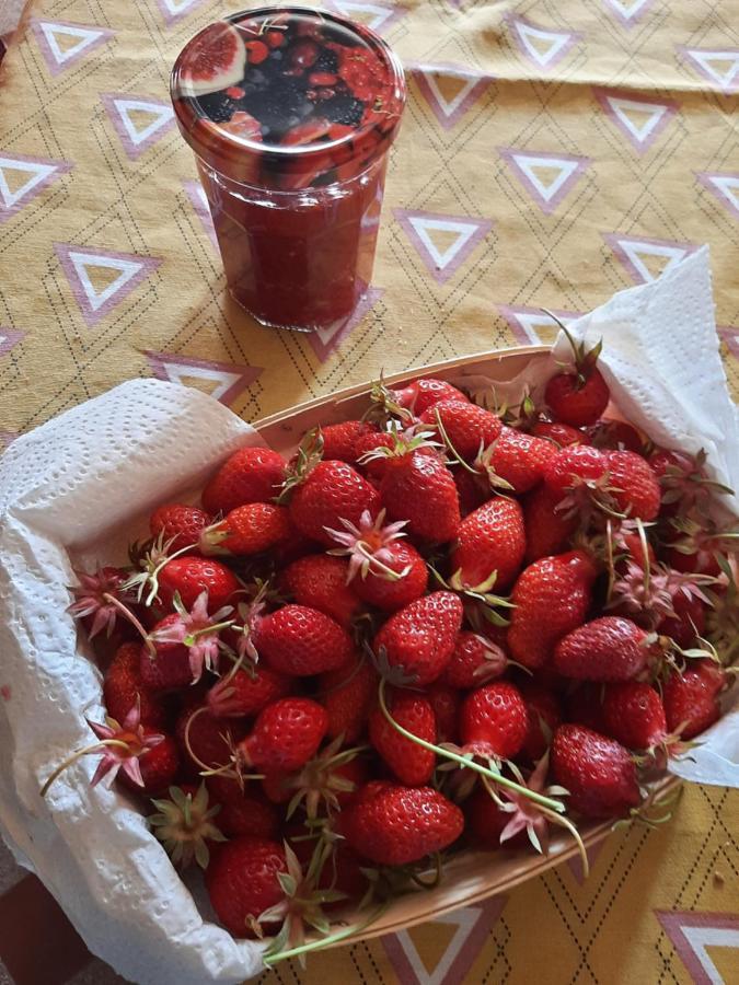 Notre Village Papillon Bed&Breakfast Neret Экстерьер фото